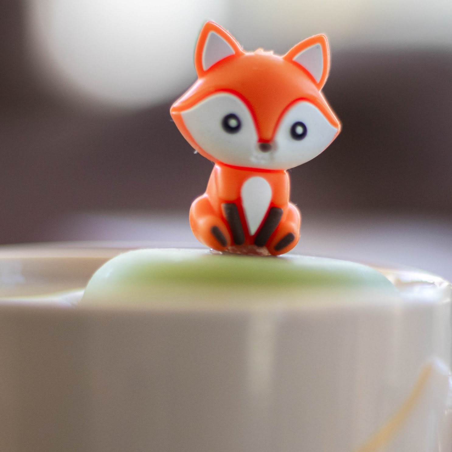 Foxes
